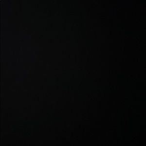 Meet your Posher, Ronnie